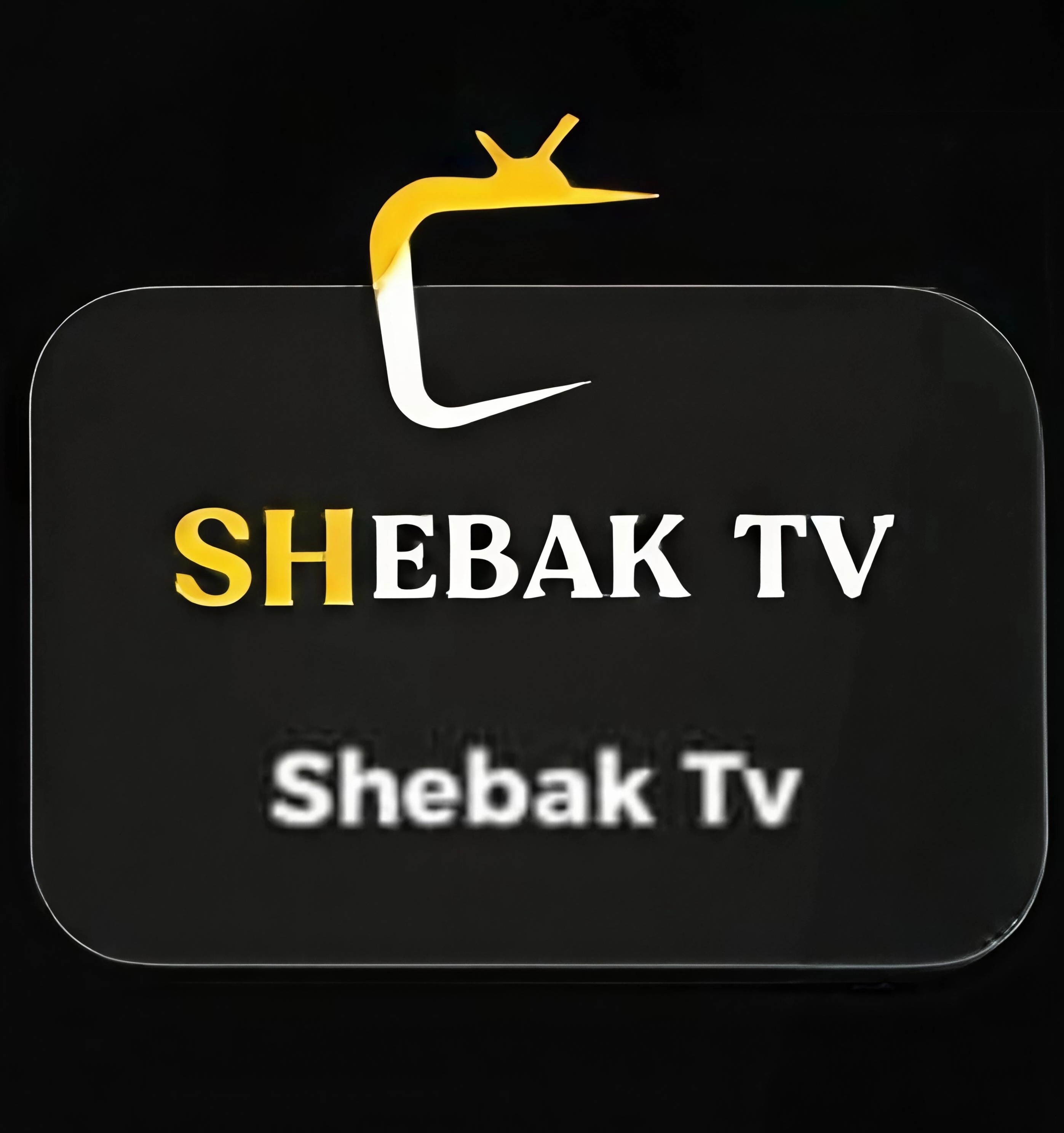 اشتراك 6 اشهر Shebak Tv